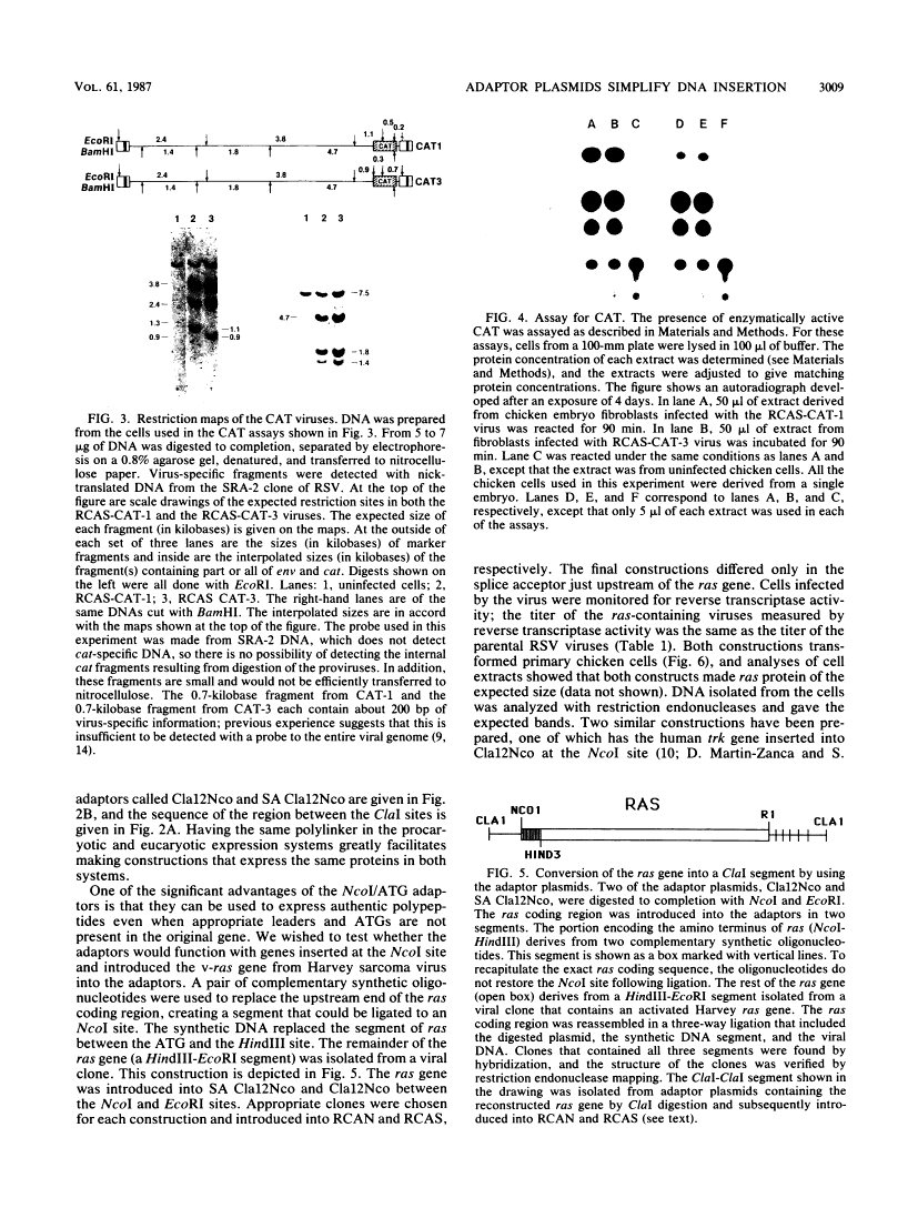 icon of scanned page 3009