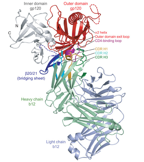 An external file that holds a picture, illustration, etc.
Object name is 41586_2007_Article_BFnature05580_Fig1_HTML.jpg