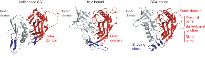 An external file that holds a picture, illustration, etc.
Object name is 41586_2007_Article_BFnature05580_Fig2_HTML.jpg