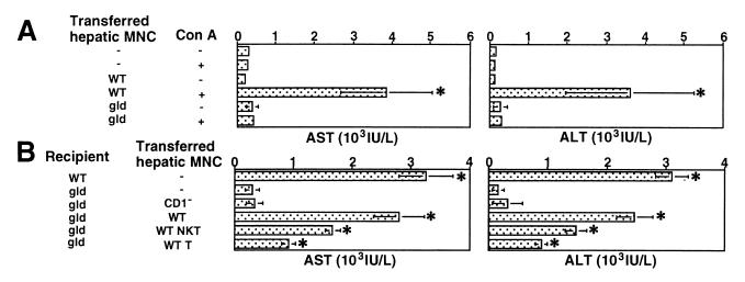 An external file that holds a picture, illustration, etc.
Object name is pq0405666003.jpg