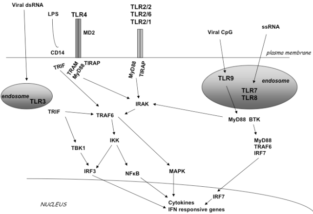 An external file that holds a picture, illustration, etc.
Object name is TOMICROJ-2-49_F1.jpg