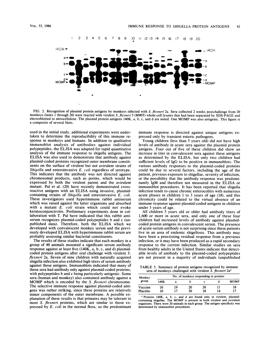 icon of scanned page 61