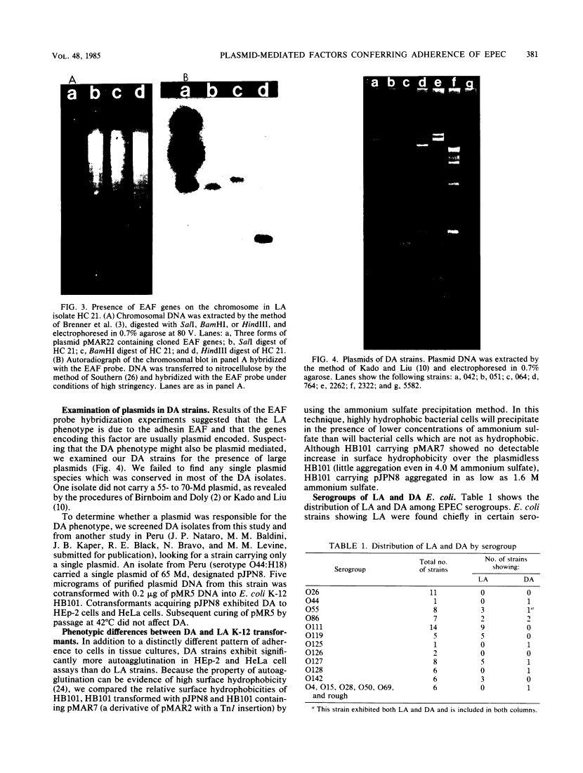 icon of scanned page 381