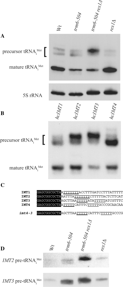 An external file that holds a picture, illustration, etc.
Object name is gkn925f2.jpg