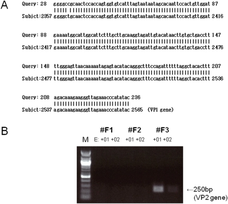 An external file that holds a picture, illustration, etc.
Object name is pone.0004219.g003.jpg