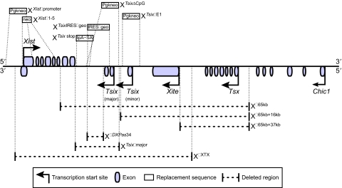 An external file that holds a picture, illustration, etc.
Object name is DEV025908F3.jpg