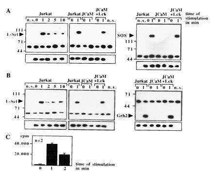 An external file that holds a picture, illustration, etc.
Object name is pq2662635005.jpg