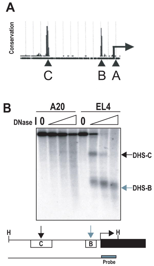 An external file that holds a picture, illustration, etc.
Object name is nihms87553f2.jpg