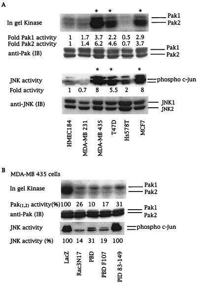 An external file that holds a picture, illustration, etc.
Object name is pq0104939004.jpg