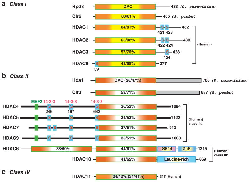 An external file that holds a picture, illustration, etc.
Object name is nihms100450f1.jpg