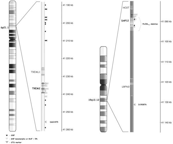 An external file that holds a picture, illustration, etc.
Object name is ukmss-4431-f0001.jpg