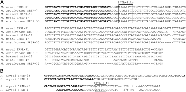 An external file that holds a picture, illustration, etc.
Object name is Archaea-02-059-g002.jpg