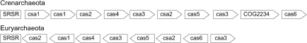 An external file that holds a picture, illustration, etc.
Object name is Archaea-02-059-g003.jpg