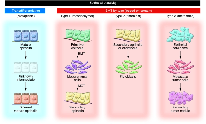 An external file that holds a picture, illustration, etc.
Object name is JCI36183.f1.jpg