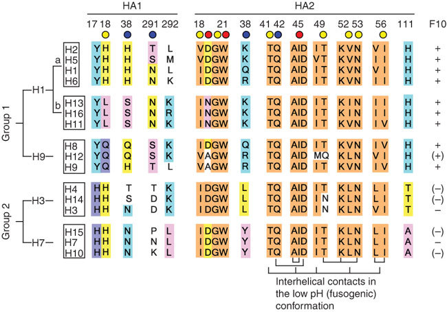 An external file that holds a picture, illustration, etc.
Object name is 41594_2009_Article_BFnsmb1566_Fig5_HTML.jpg