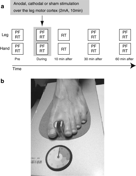 An external file that holds a picture, illustration, etc.
Object name is 221_2009_1863_Fig1_HTML.jpg