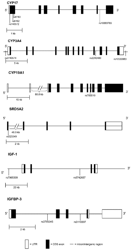 An external file that holds a picture, illustration, etc.
Object name is nihms107656f1.jpg