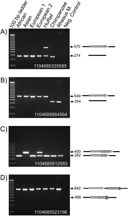 An external file that holds a picture, illustration, etc.
Object name is 1516fig1.jpg