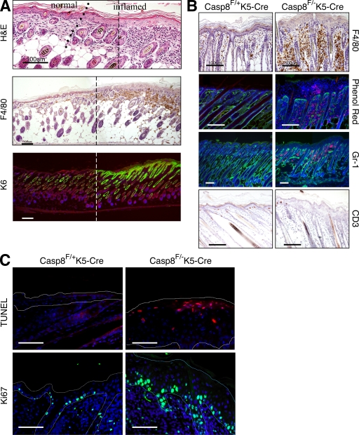 An external file that holds a picture, illustration, etc.
Object name is JEM_20090616R_RGB_Fig3.jpg