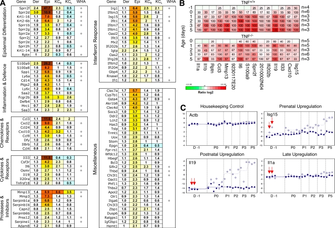 An external file that holds a picture, illustration, etc.
Object name is JEM_20090616_RGB_Fig5.jpg