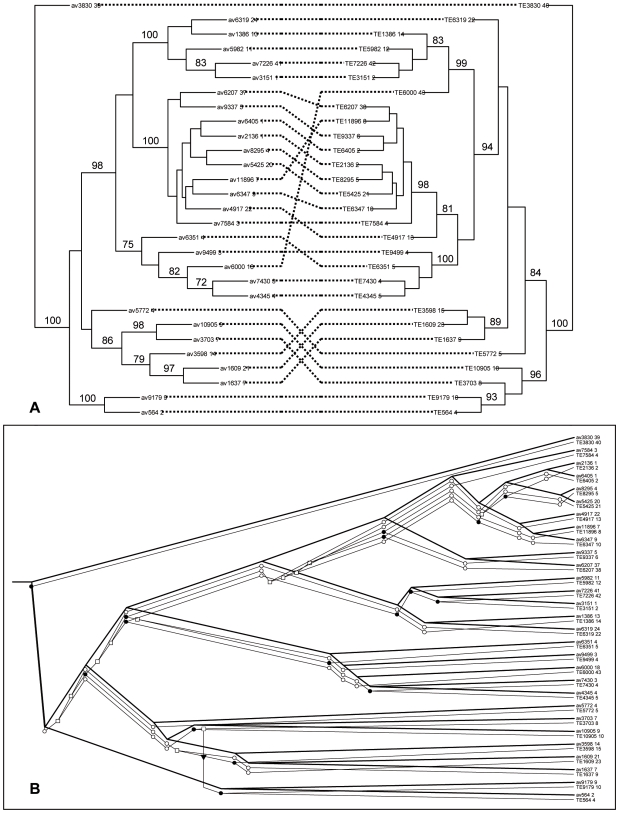 An external file that holds a picture, illustration, etc.
Object name is pone.0007463.g003.jpg