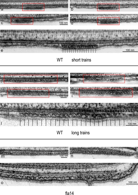 An external file that holds a picture, illustration, etc.
Object name is JCB_200905103R_RGB_Fig2.jpg