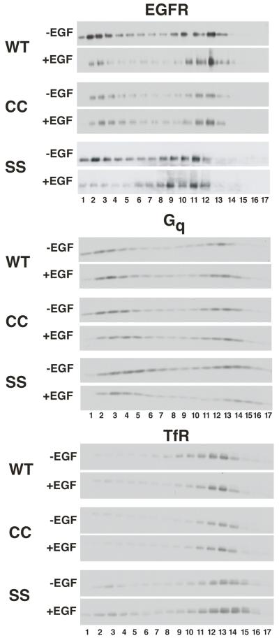 An external file that holds a picture, illustration, etc.
Object name is nihms-93583-f0006.jpg