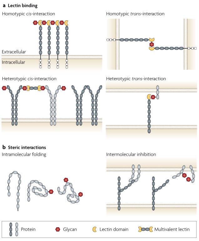 An external file that holds a picture, illustration, etc.
Object name is nihms147256f2.jpg