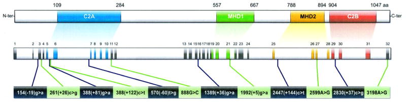 An external file that holds a picture, illustration, etc.
Object name is nihms112120f1.jpg