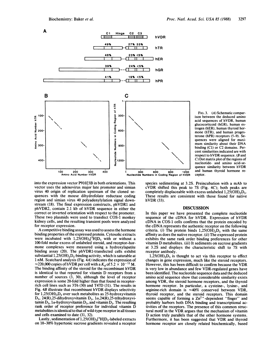 icon of scanned page 3297