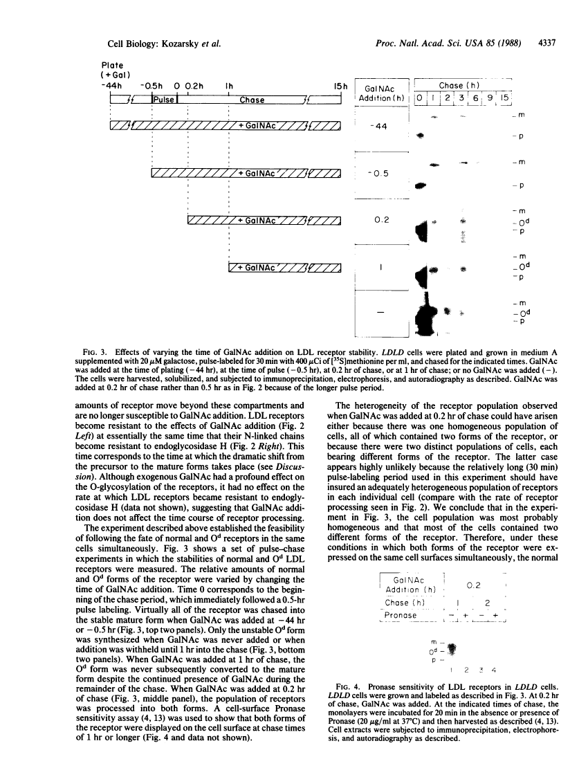 icon of scanned page 4337