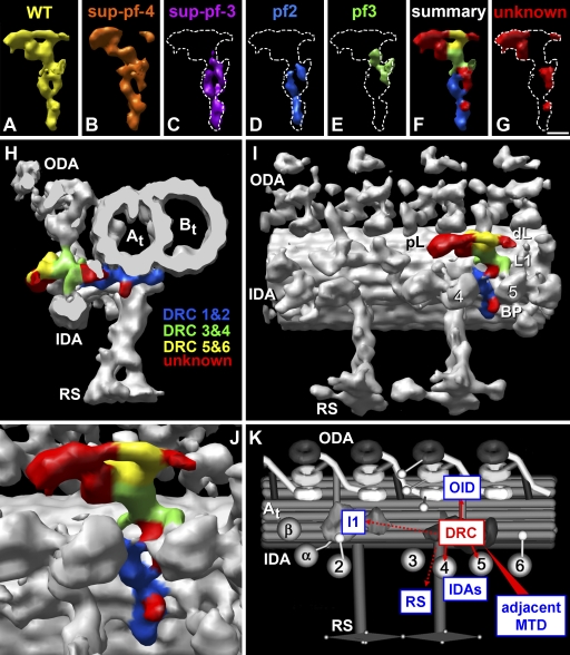 An external file that holds a picture, illustration, etc.
Object name is JCB_200908067_RGB_Fig5.jpg