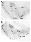 Fig. 11