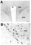 Fig. 15