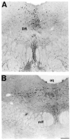 Fig. 19