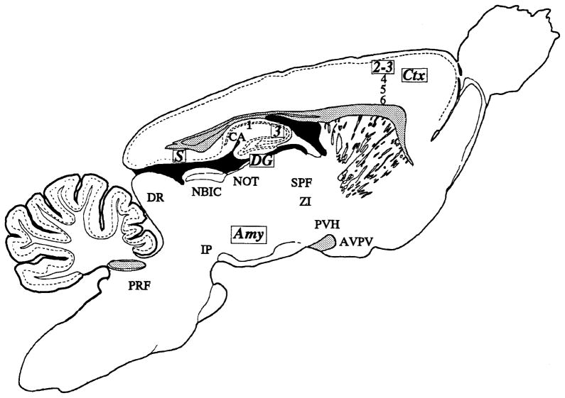 An external file that holds a picture, illustration, etc.
Object name is nihms166419f20.jpg