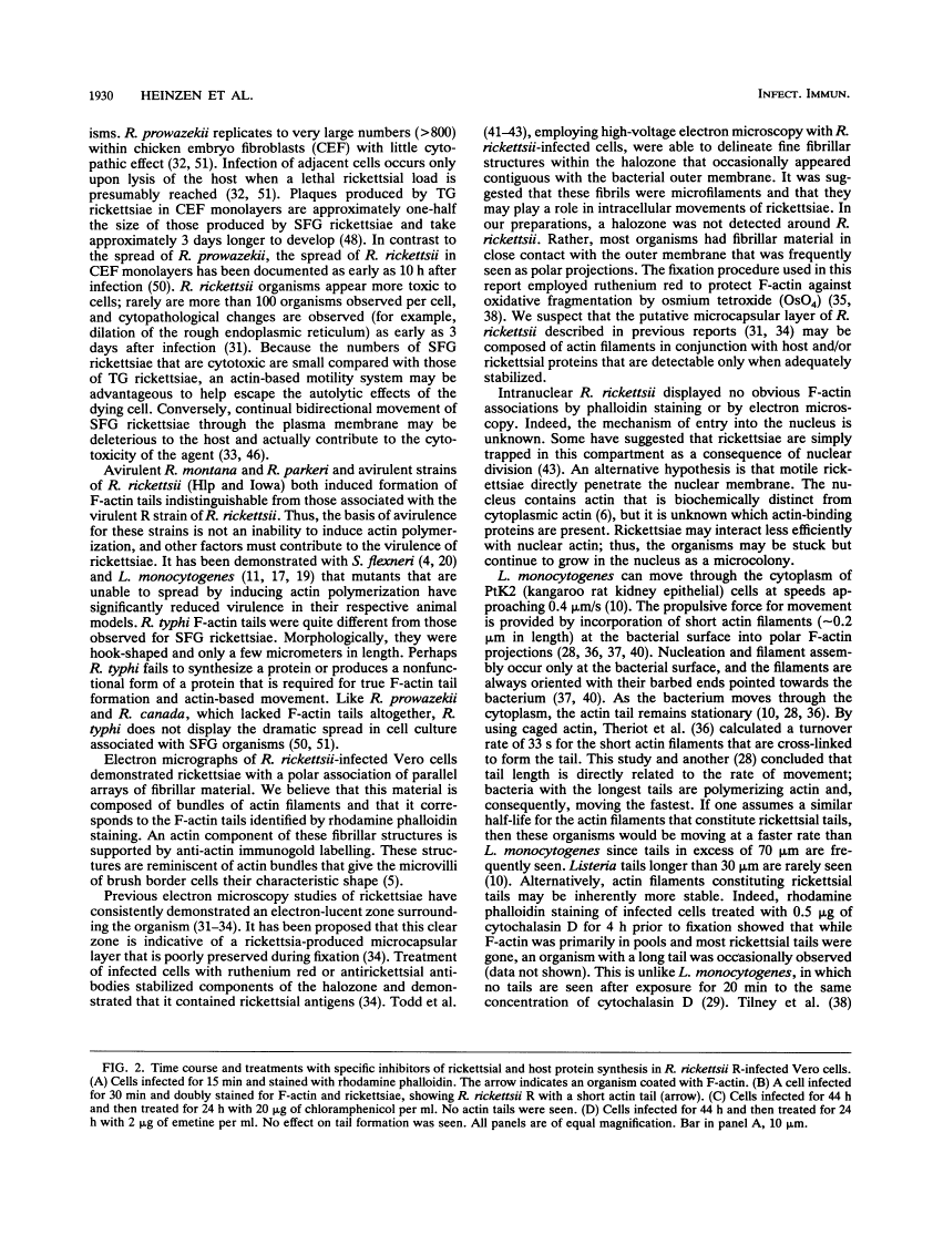 icon of scanned page 1930