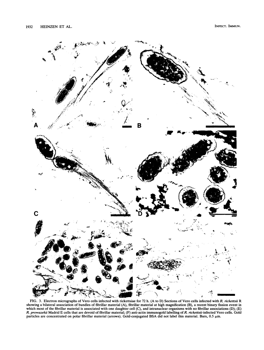 icon of scanned page 1932