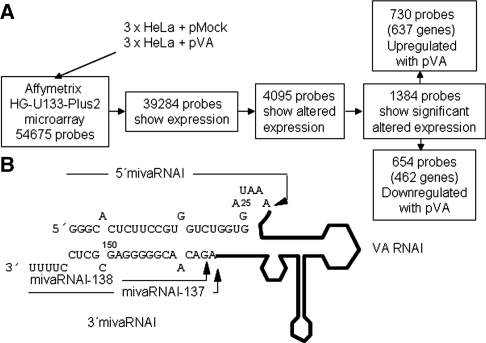 An external file that holds a picture, illustration, etc.
Object name is gkp1028f1.jpg