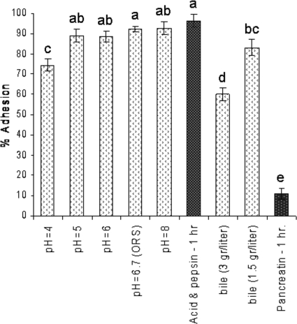 An external file that holds a picture, illustration, etc.
Object name is zam9991006460002.jpg