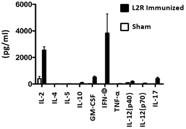 An external file that holds a picture, illustration, etc.
Object name is nihms167033f3.jpg