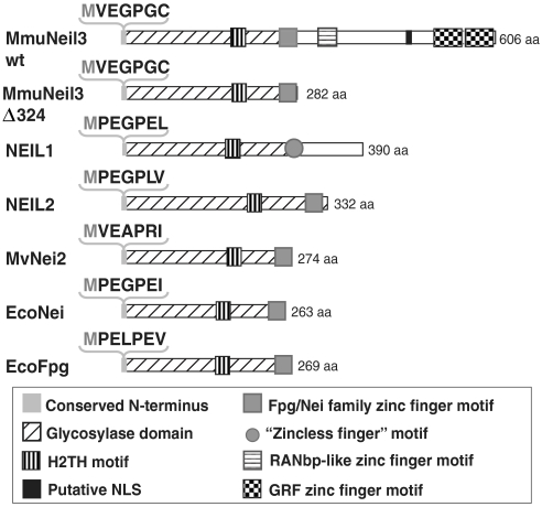 An external file that holds a picture, illustration, etc.
Object name is pnas.0908307107fig1.jpg