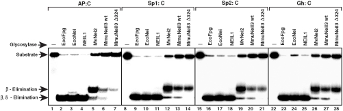 An external file that holds a picture, illustration, etc.
Object name is pnas.0908307107fig2.jpg