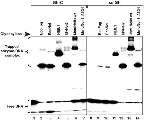 An external file that holds a picture, illustration, etc.
Object name is pnas.0908307107fig5.jpg