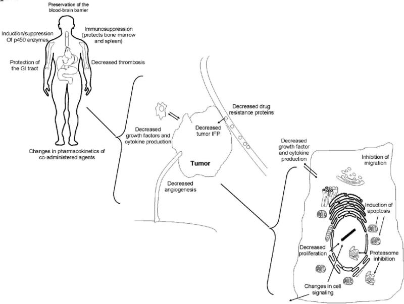 An external file that holds a picture, illustration, etc.
Object name is nihms-183420-f0001.jpg