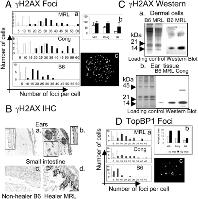 An external file that holds a picture, illustration, etc.
Object name is pnas.1000830107fig03.jpg