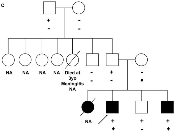 An external file that holds a picture, illustration, etc.
Object name is nihms-179905-f0002.jpg