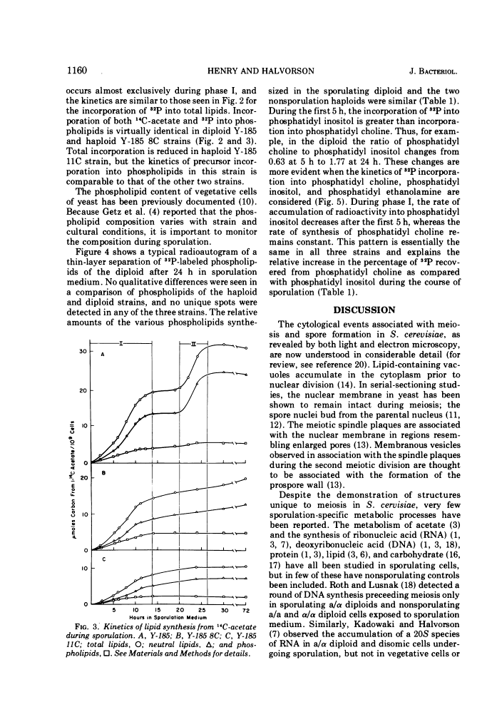 icon of scanned page 1160