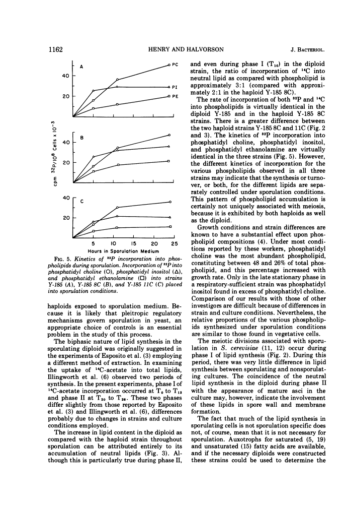 icon of scanned page 1162