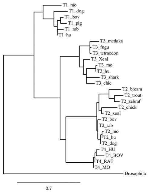 An external file that holds a picture, illustration, etc.
Object name is nihms178721f2.jpg